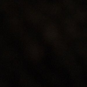 Meet your Posher, Parker